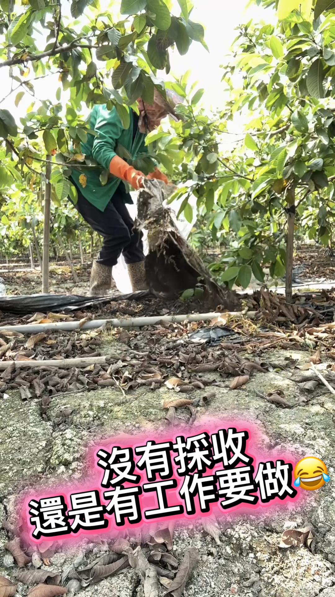@滿幸福果園