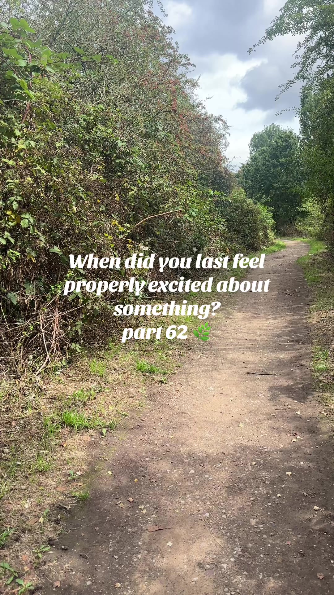 @thequietyou