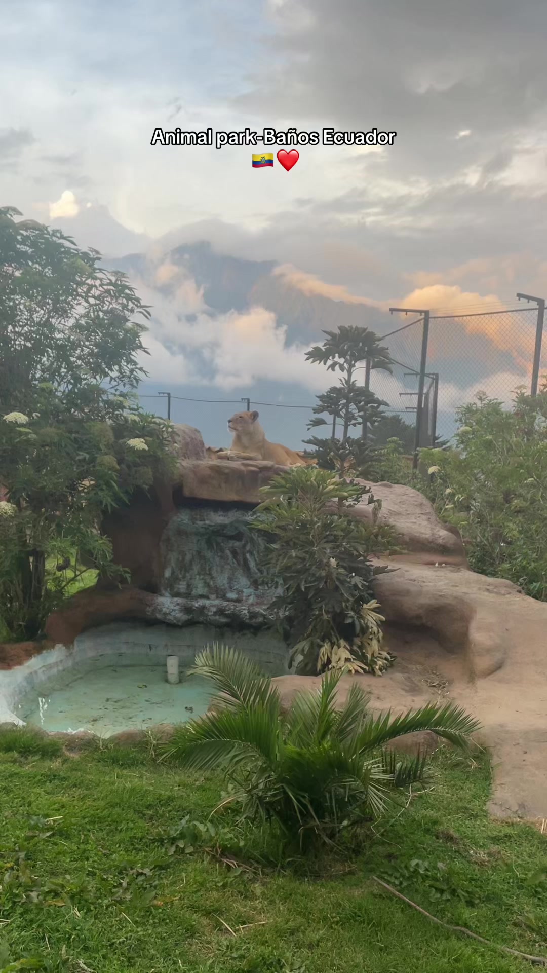 @𝙎𝙖𝙧𝙖𝙖𝙝𝙮 🌸