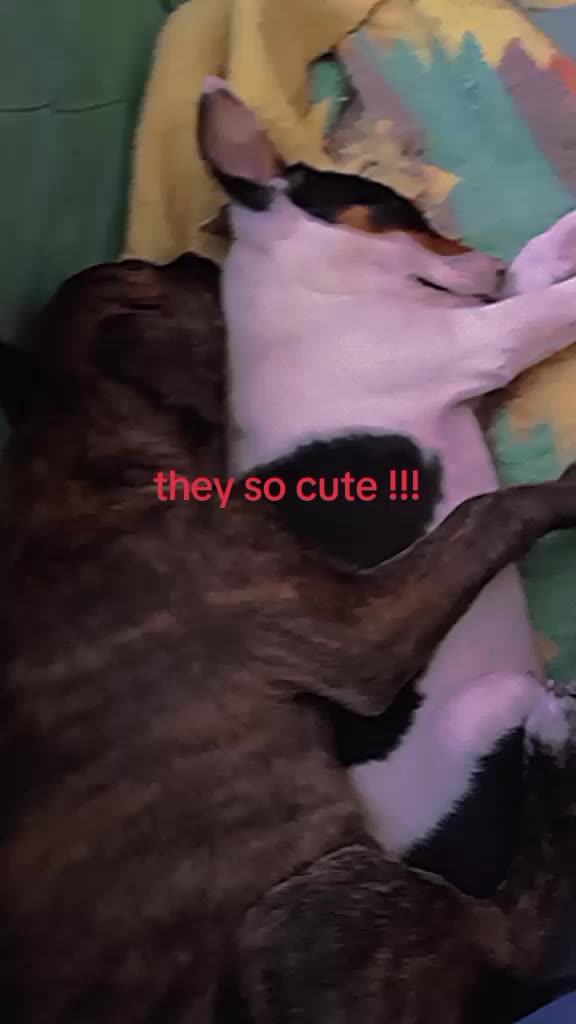 @kayla