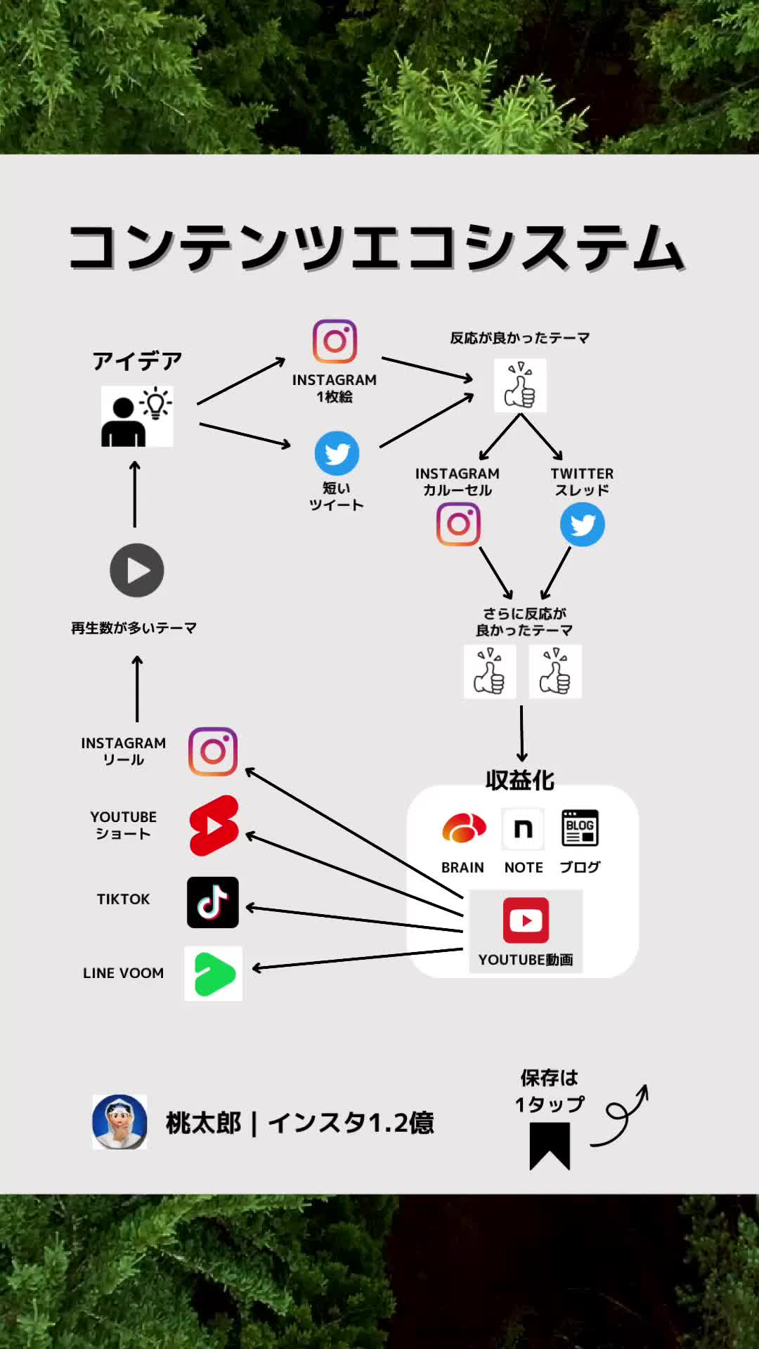 @桃太郎｜インスタ1.2億