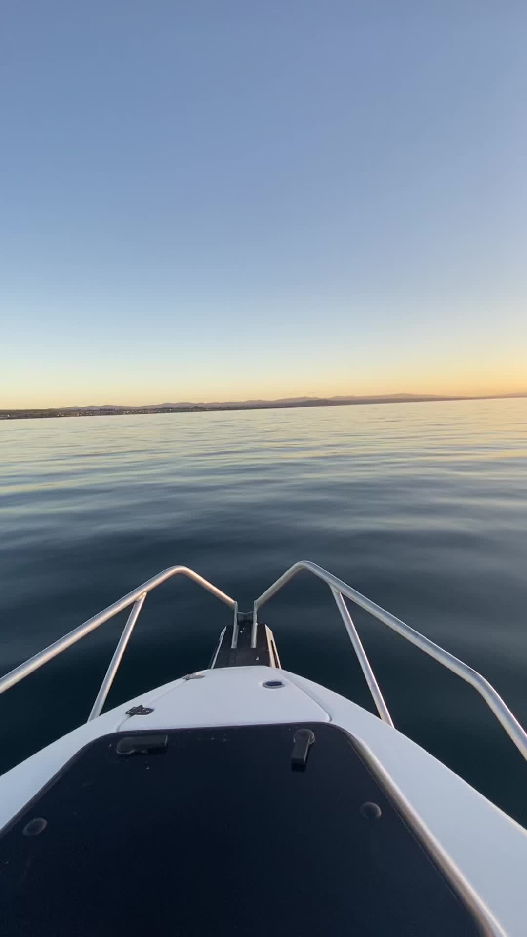 @🤿🌊🌺🐚☀️🦭