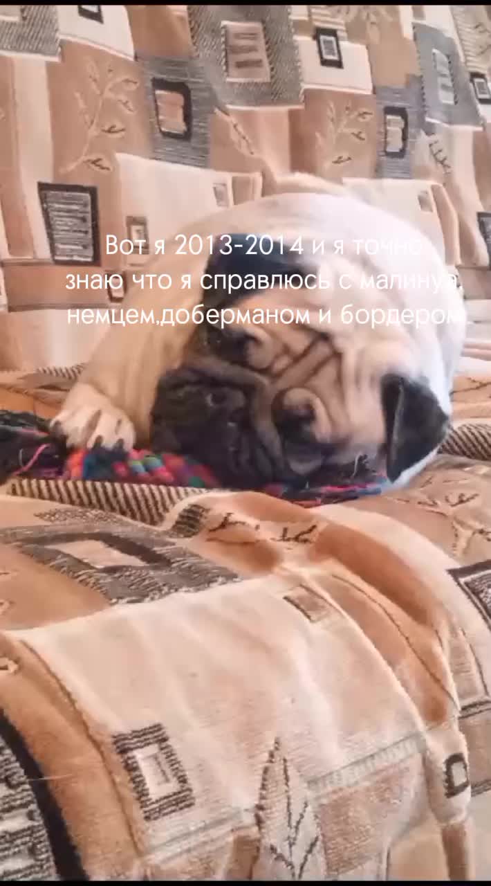 @недопонятый гений
