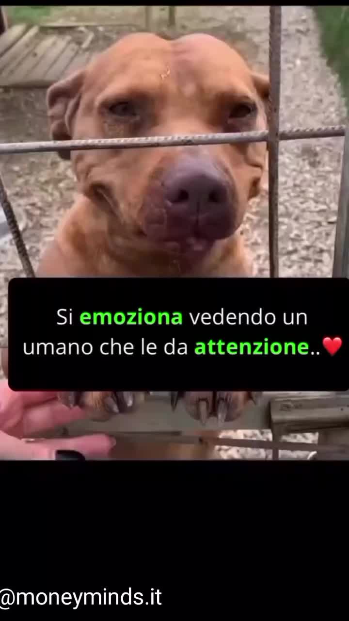 @💎simo💎