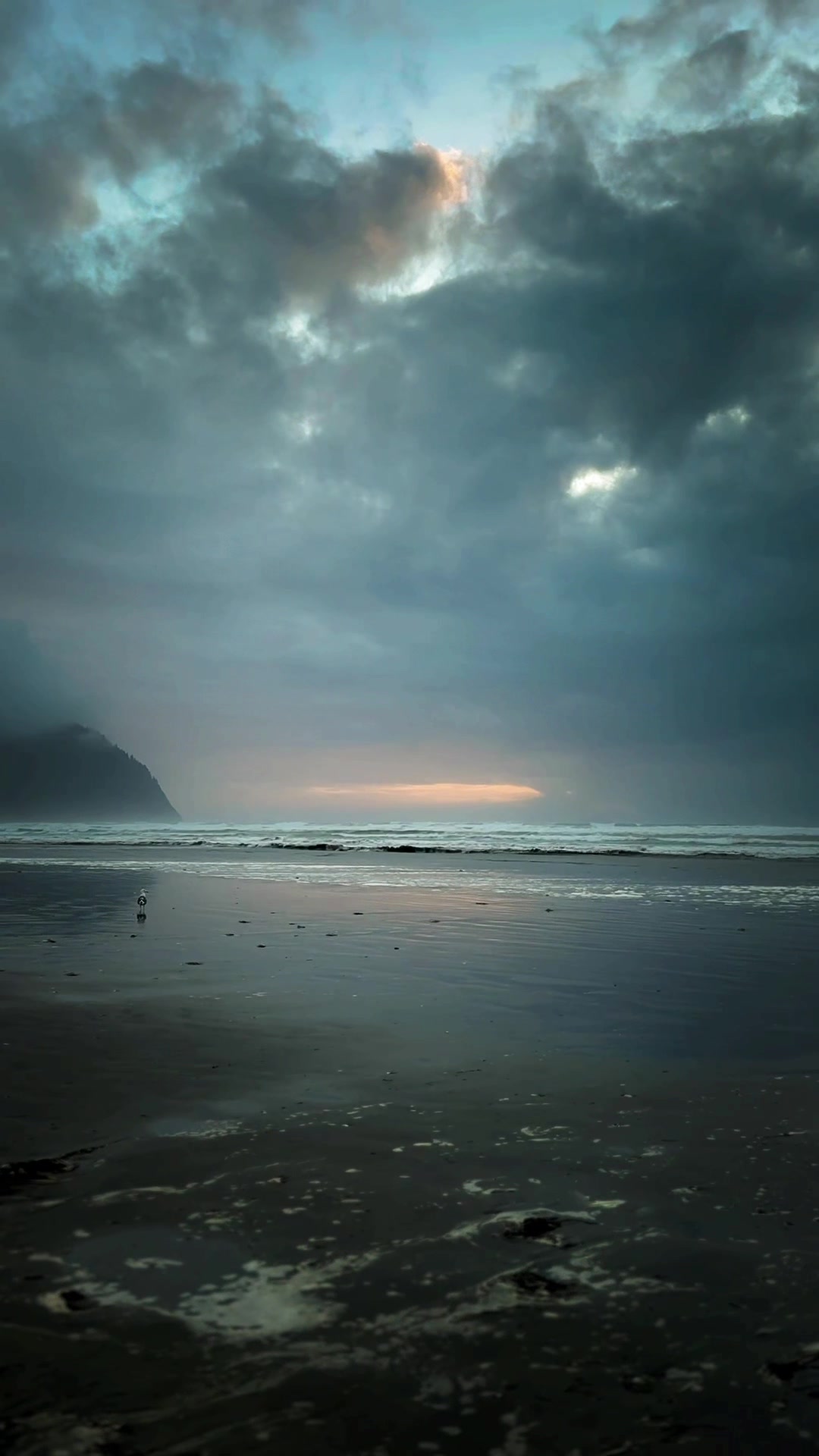 @Oregon Coast