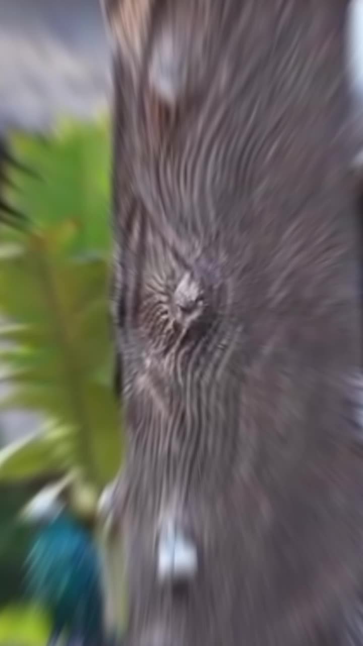 @๐ซ๐ค_RäM (Lövë) RëëMää_๐ค๐ซ