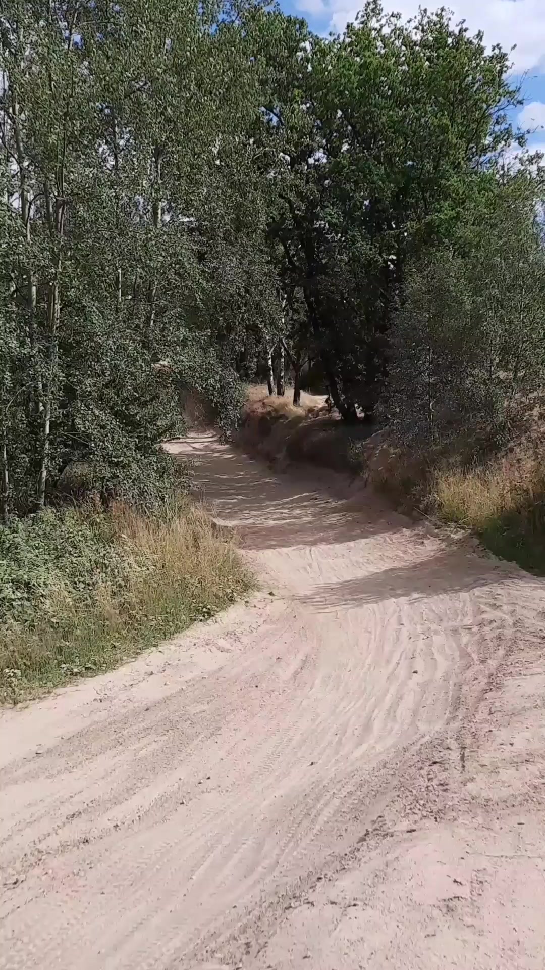 @phil🌵