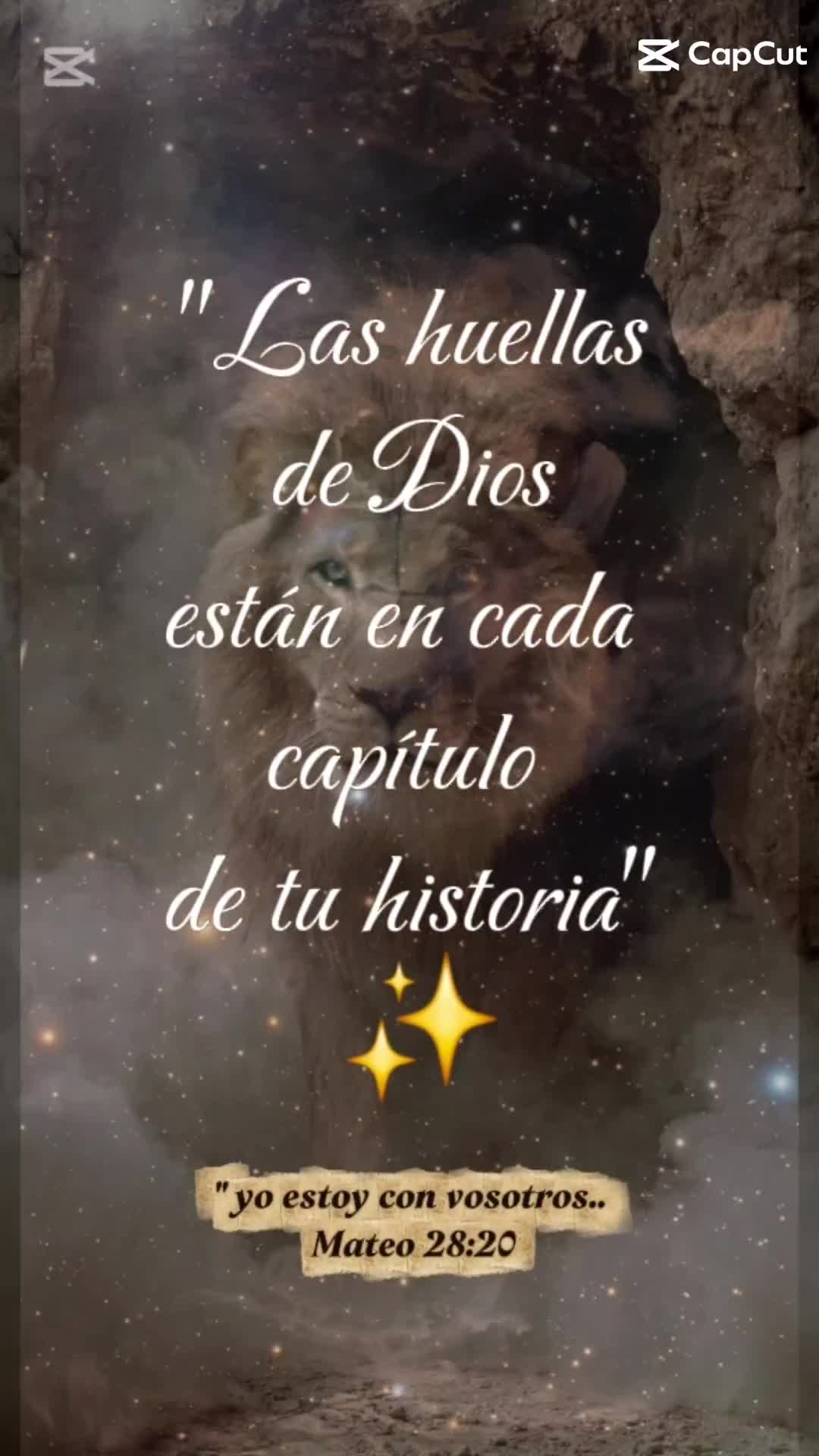 @Patricia4