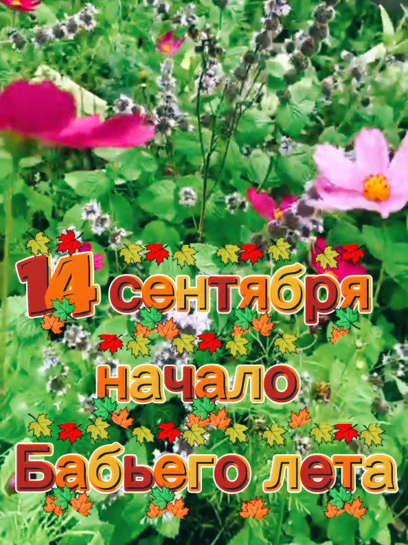 @Деревенская бабушка