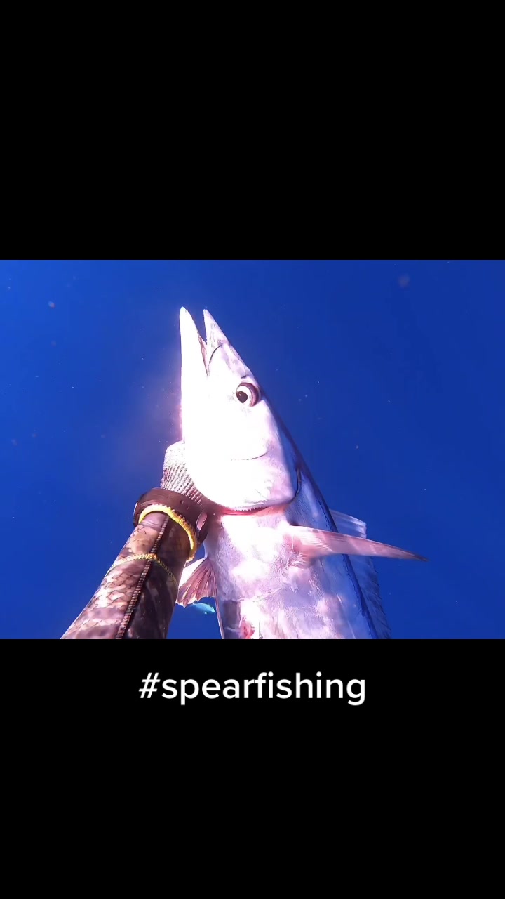 @kairosspearfishing