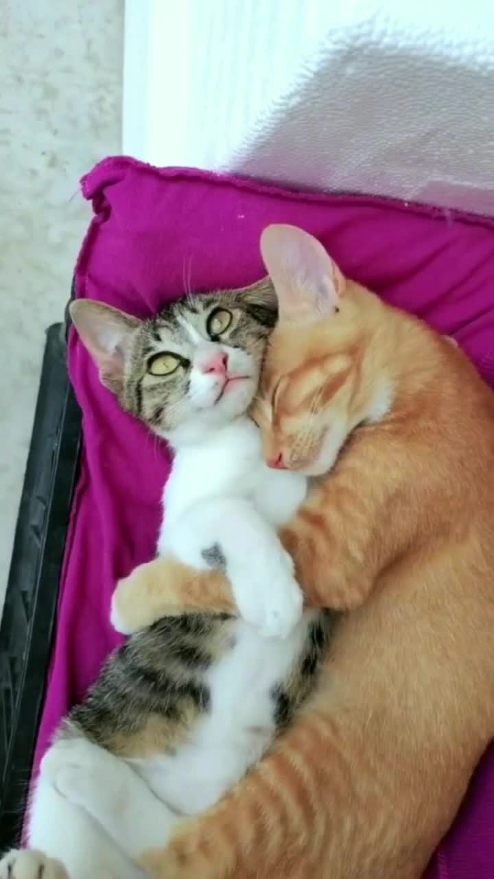 @bishuvmn1cp