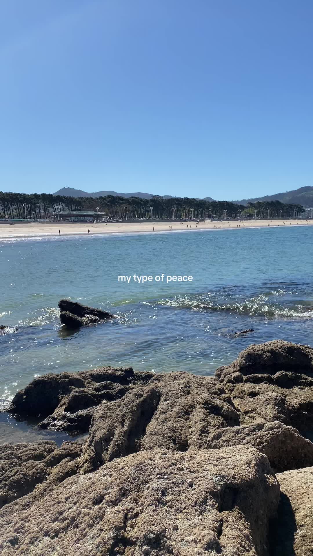 @emilyyy🌷