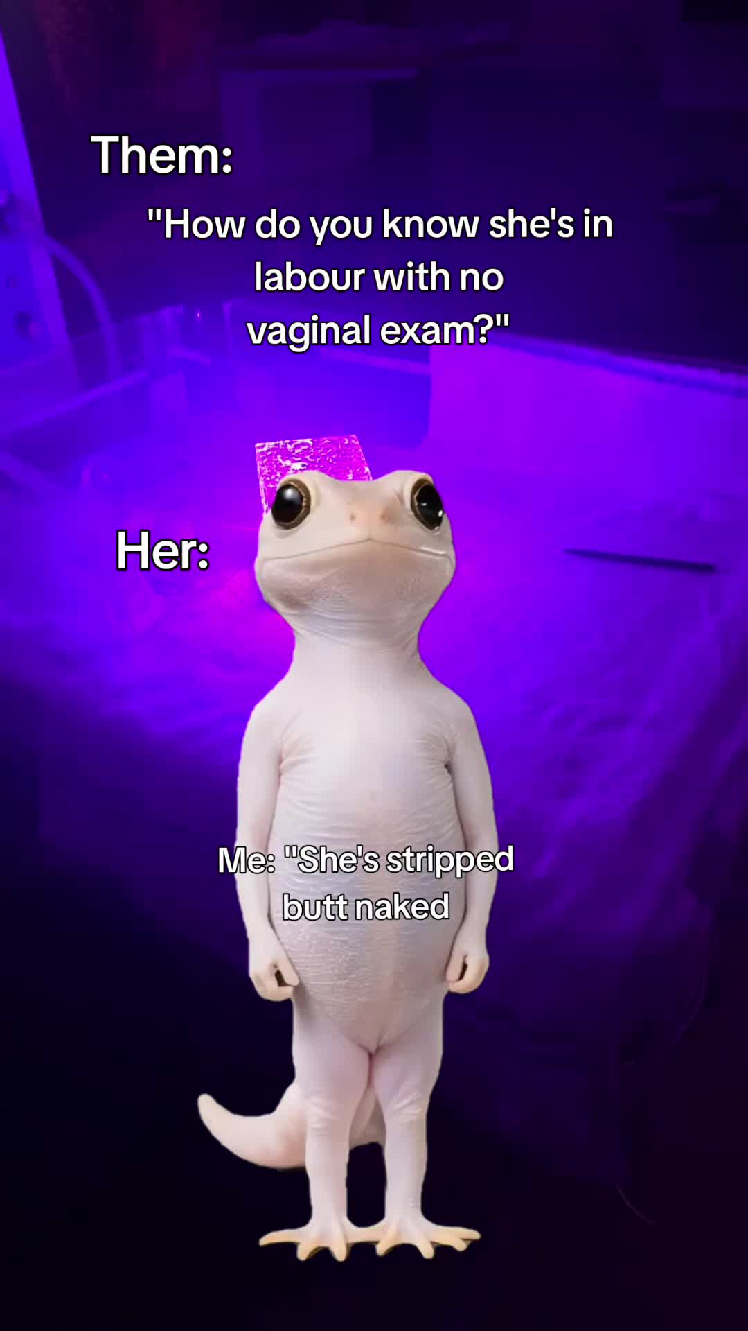 @TheTikTokMidwife