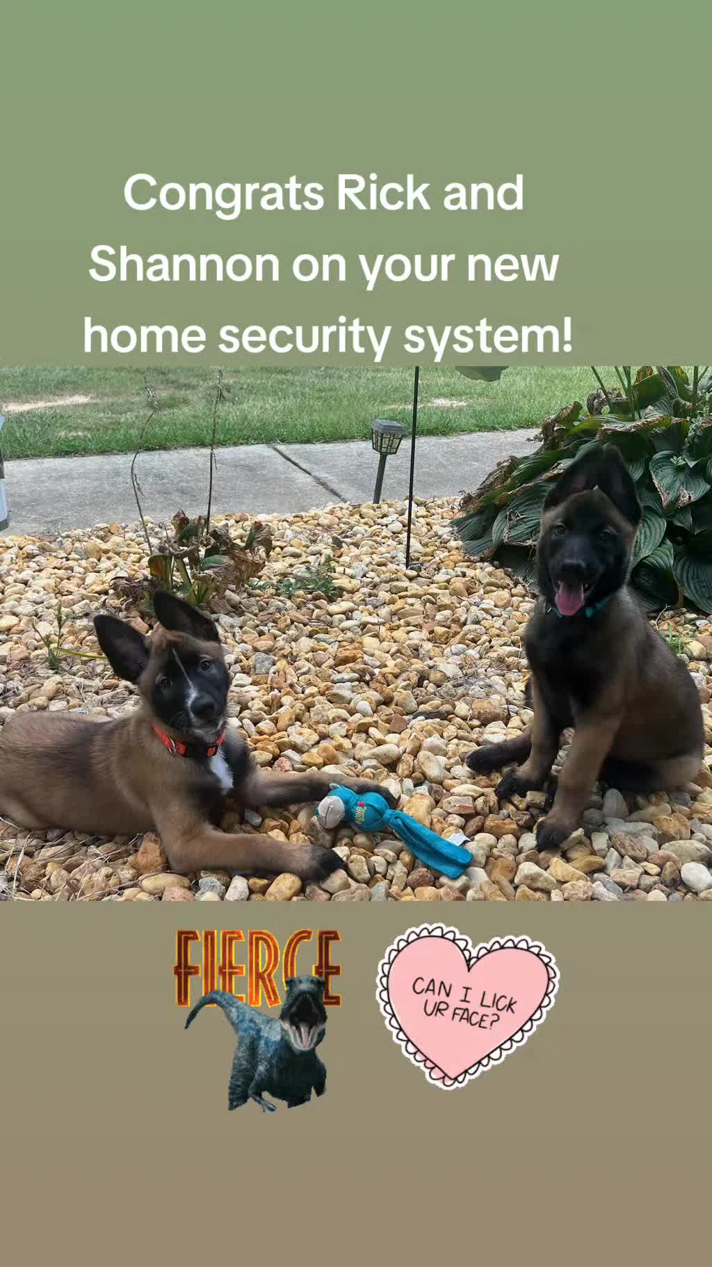 @My Mali Zelda