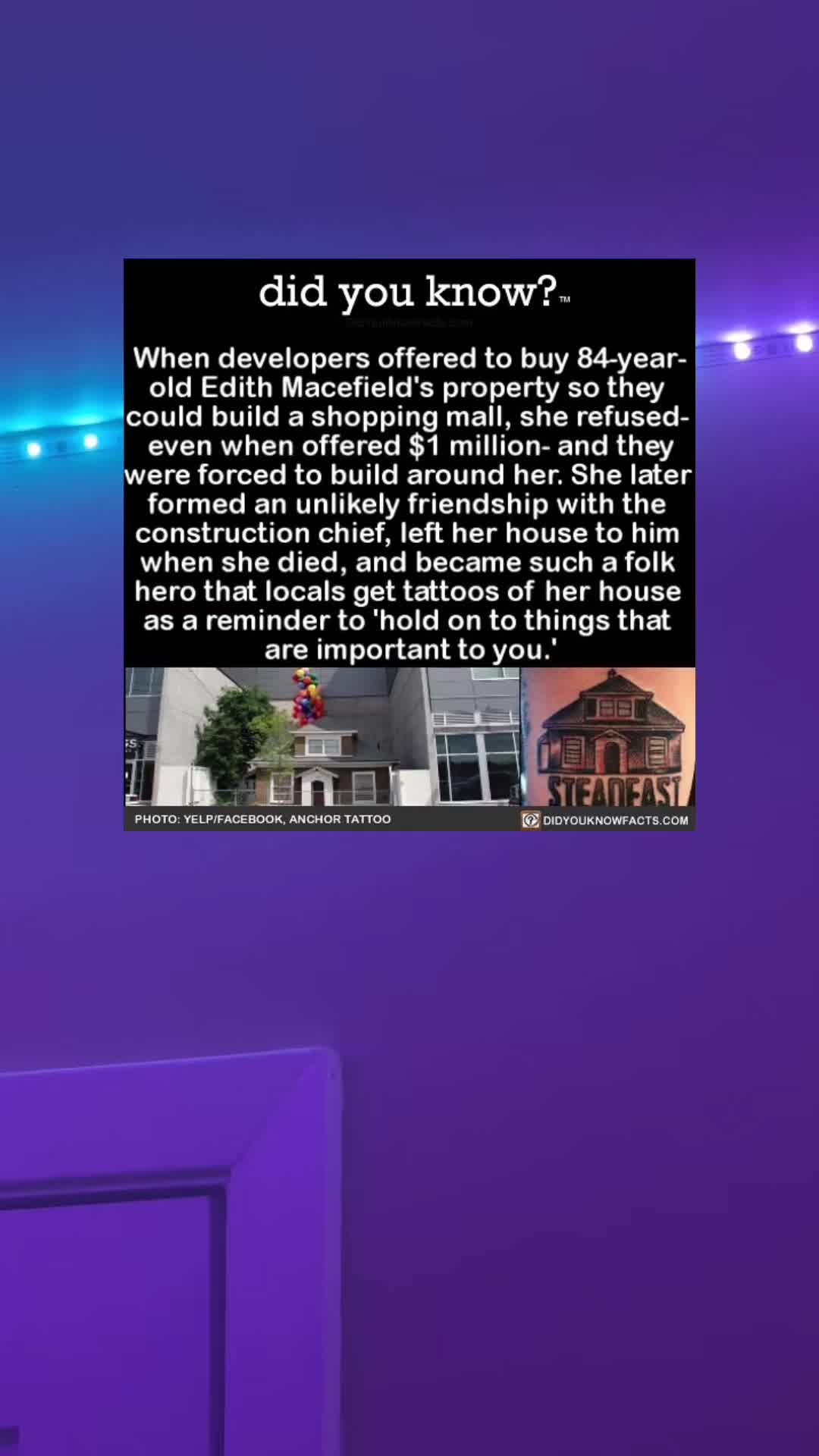 @coolfacts