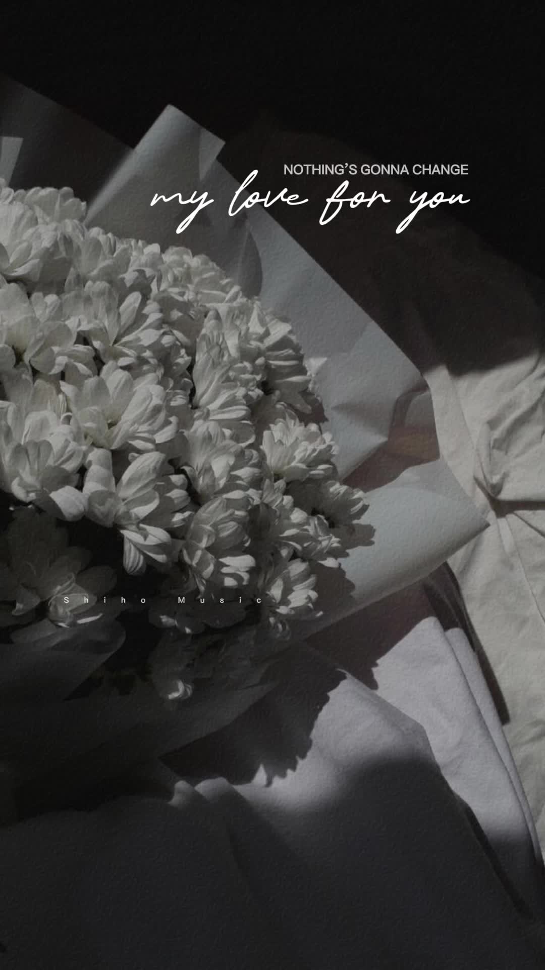 @𝐒𝐡𝐢𝐡𝐨 𝐌𝐮𝐬𝐢𝐜 🎧