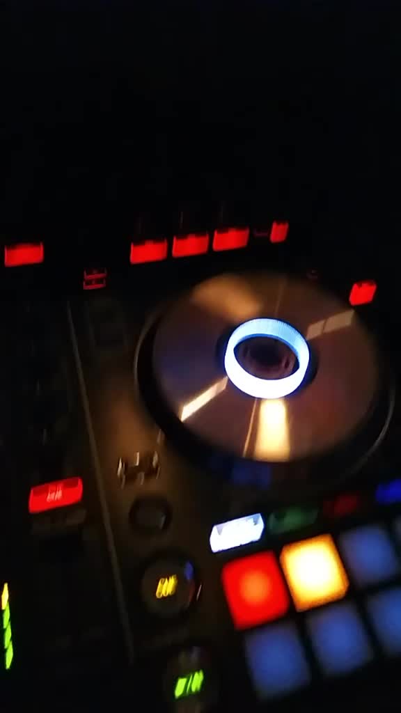 @DJ Crazy Ant