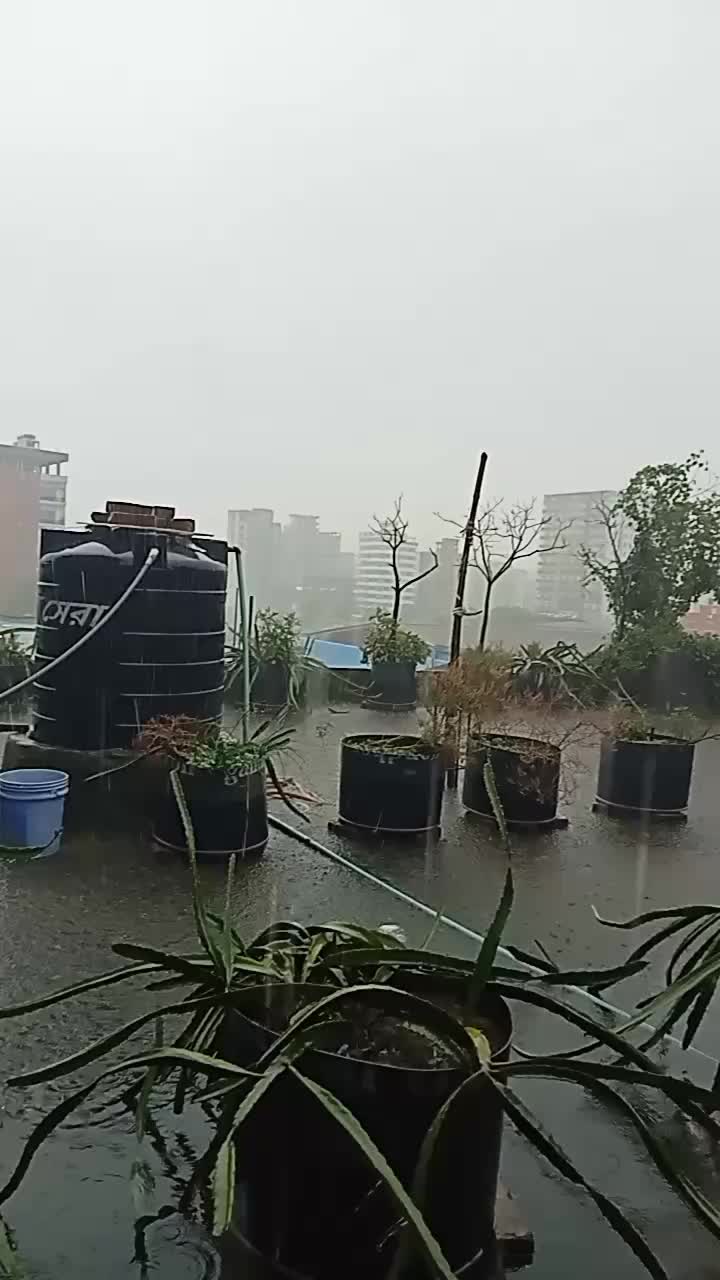 @হুবাব