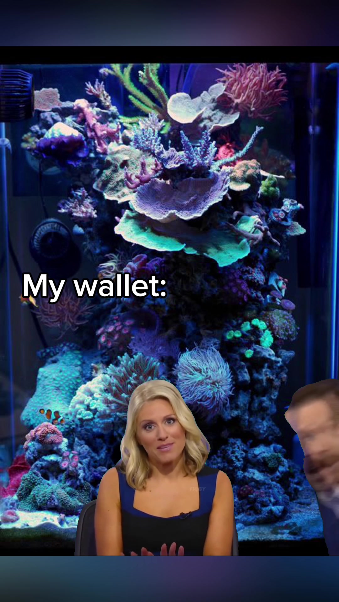 @aquarium_maintenance