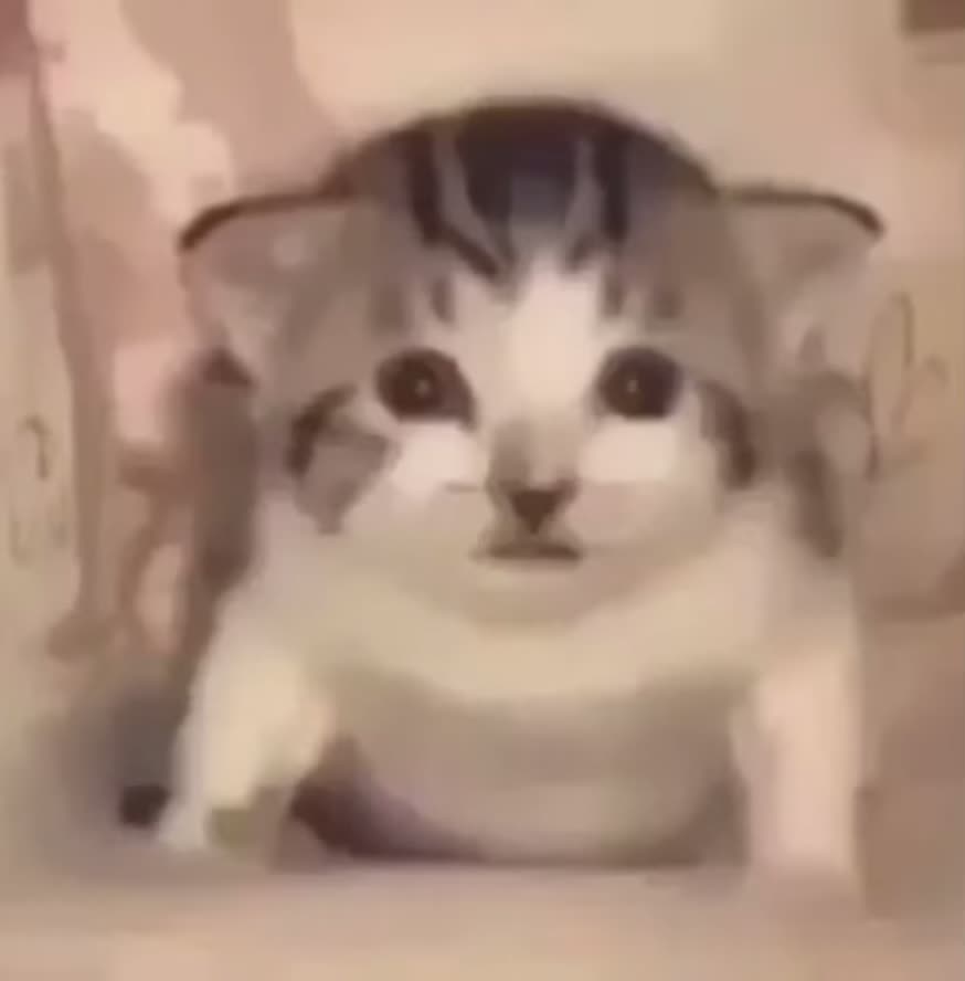 @SmollBoi21