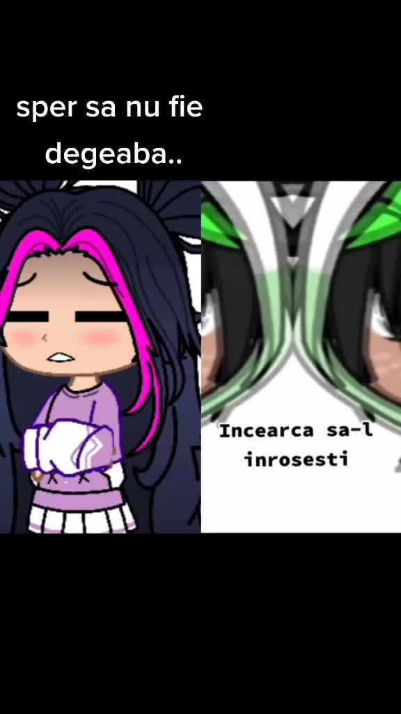 @ʕ´•ᴥ•`ʔidkʕ´•ᴥ•`ʔ