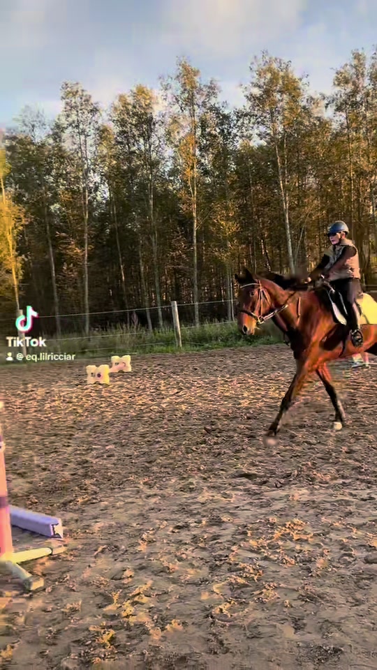 @eq.ricciardella