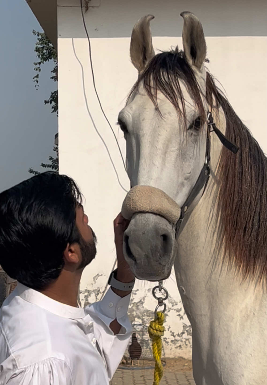 @ملک ابراھیم اعوان⚜️
