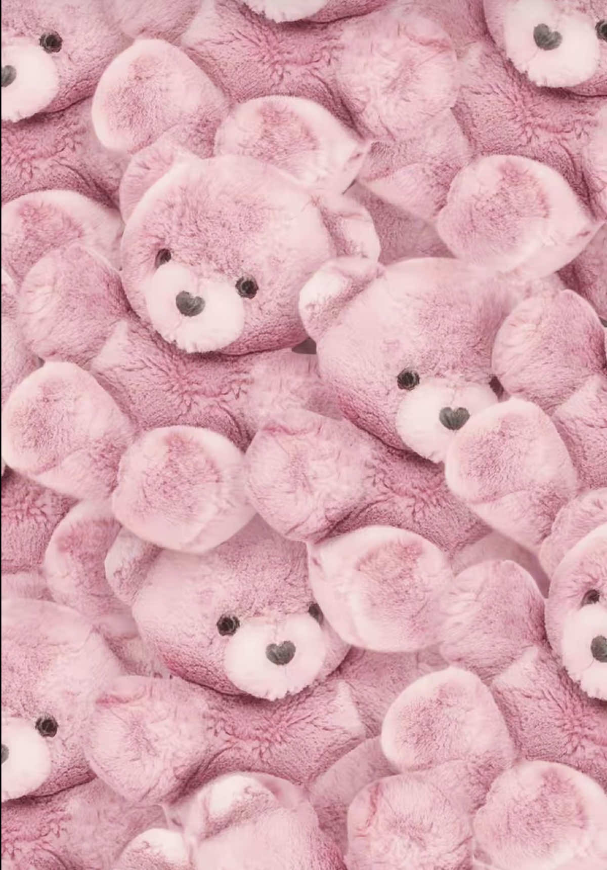 @LEEKNOW CULT | minmin🐰