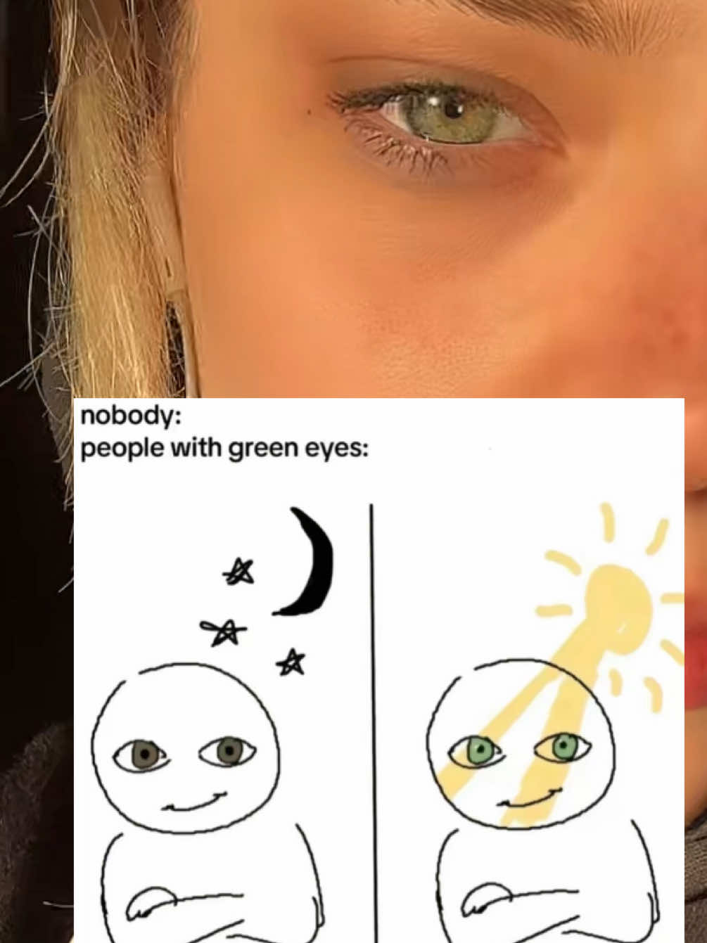 @alexijs