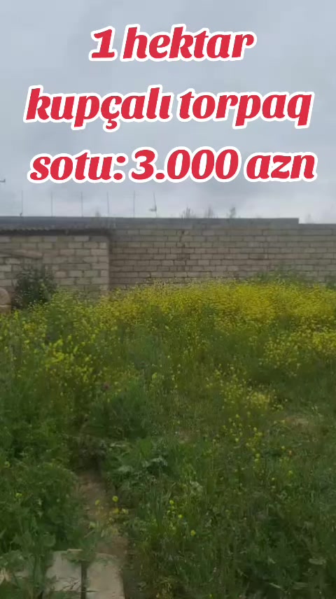 @Maştağa evləri