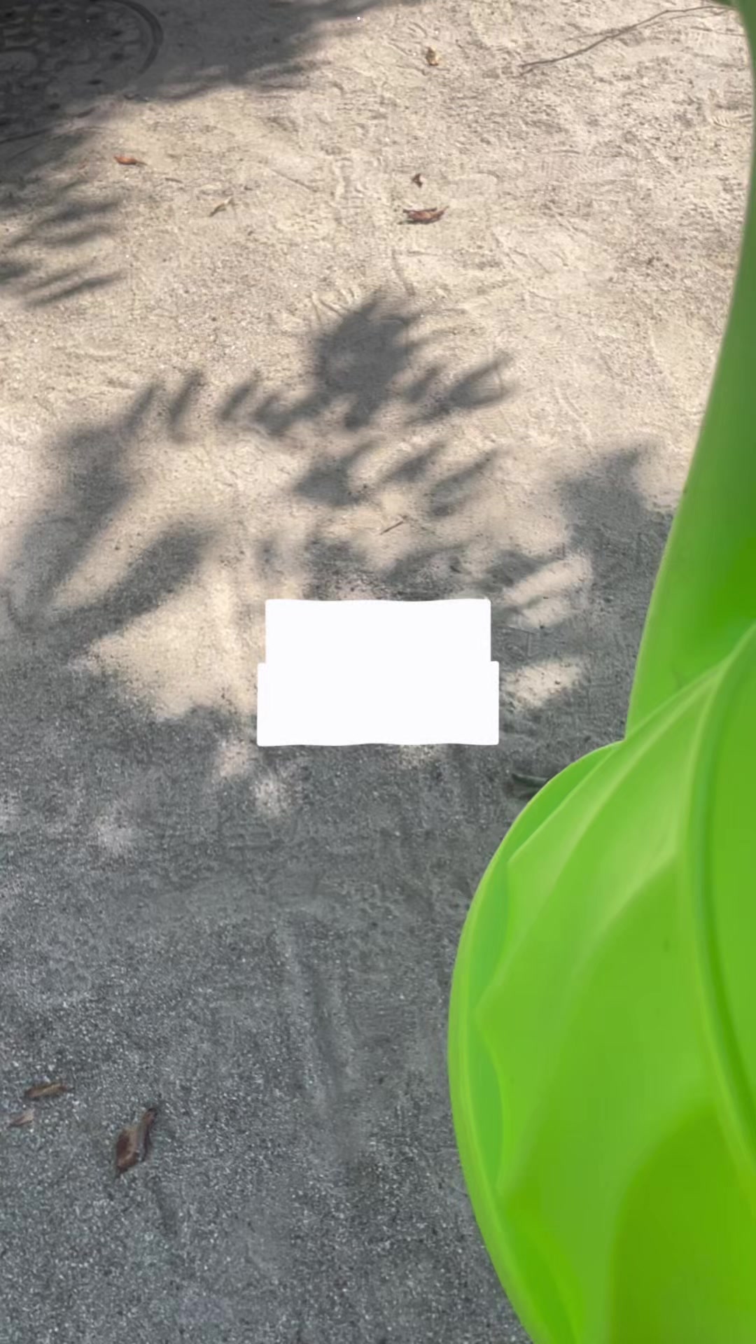 @도연