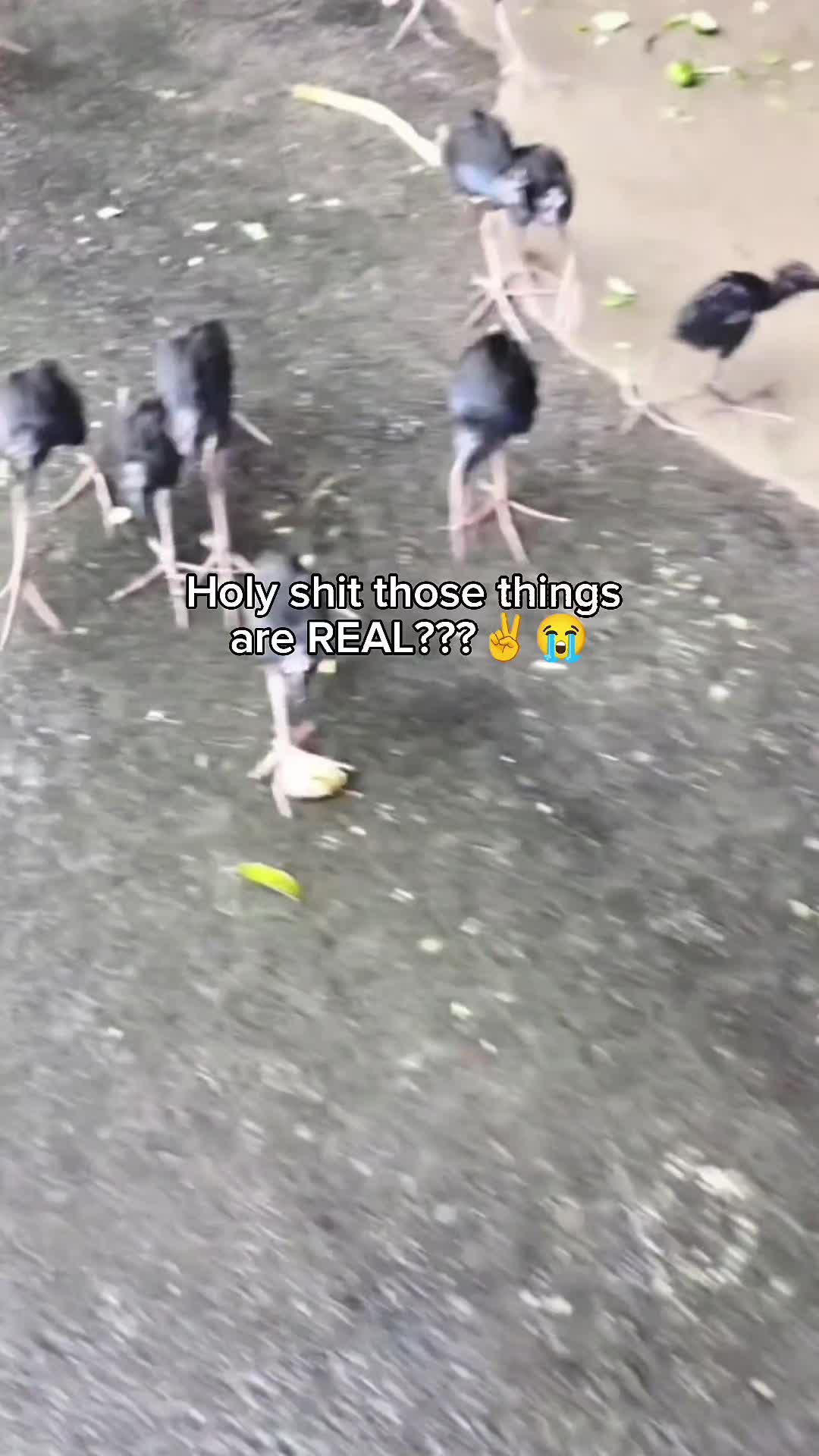 @Bro💀