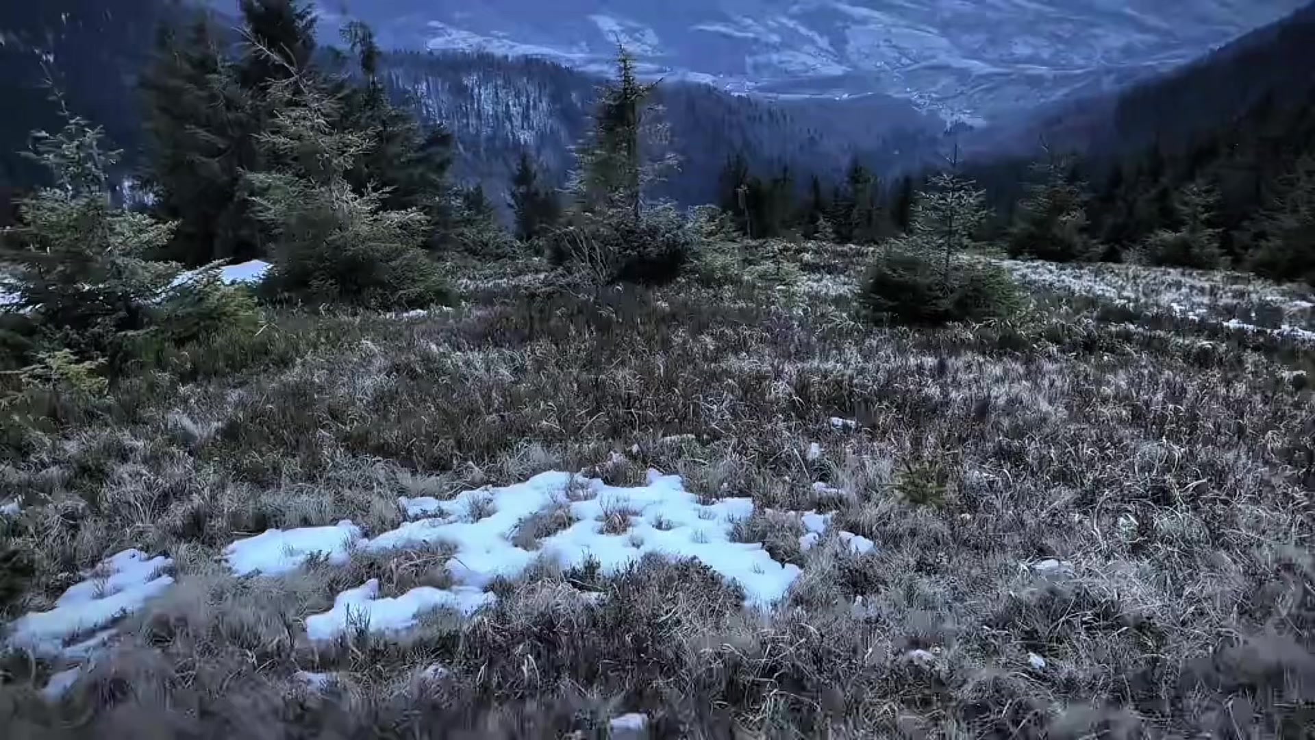 @все треки в тг 🖤