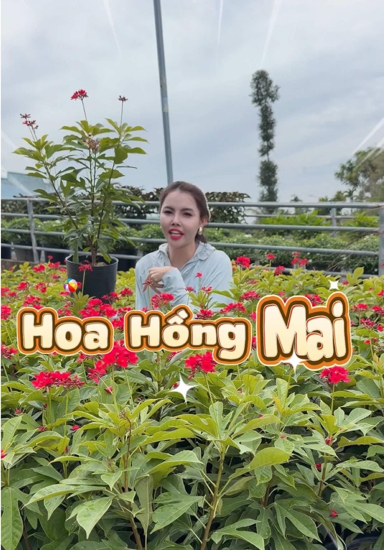 @Tiệm Lá Nhỏ