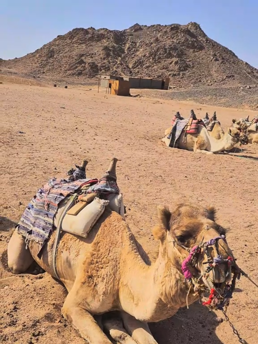 @Travel The World ๐