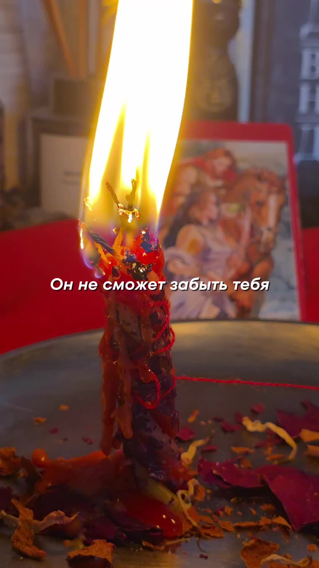 @aliceeback ~ магия жизни