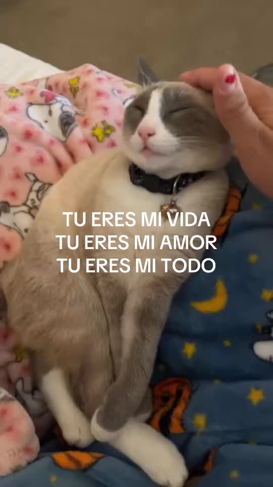 @Judybobudybanana