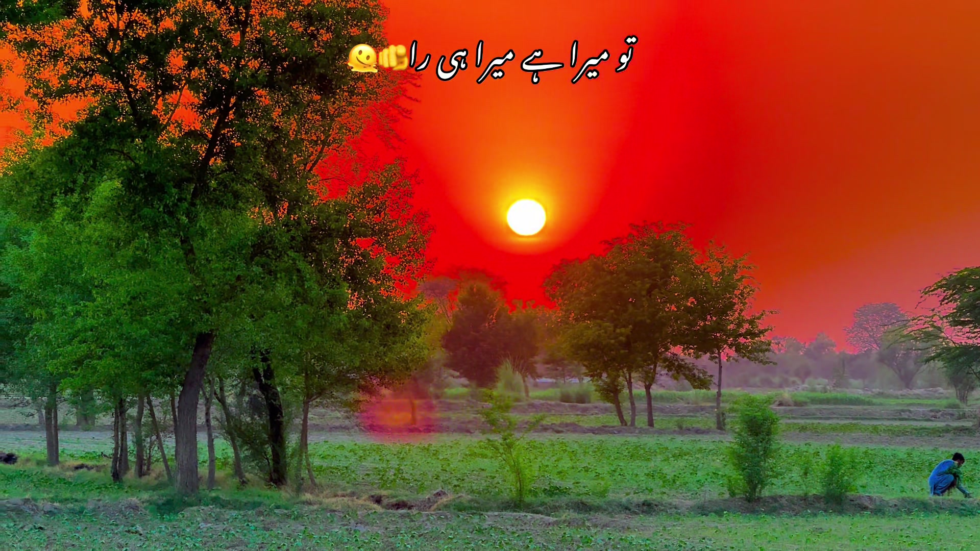 @🌾میں۔ میرا۔ پنڈ🎋
