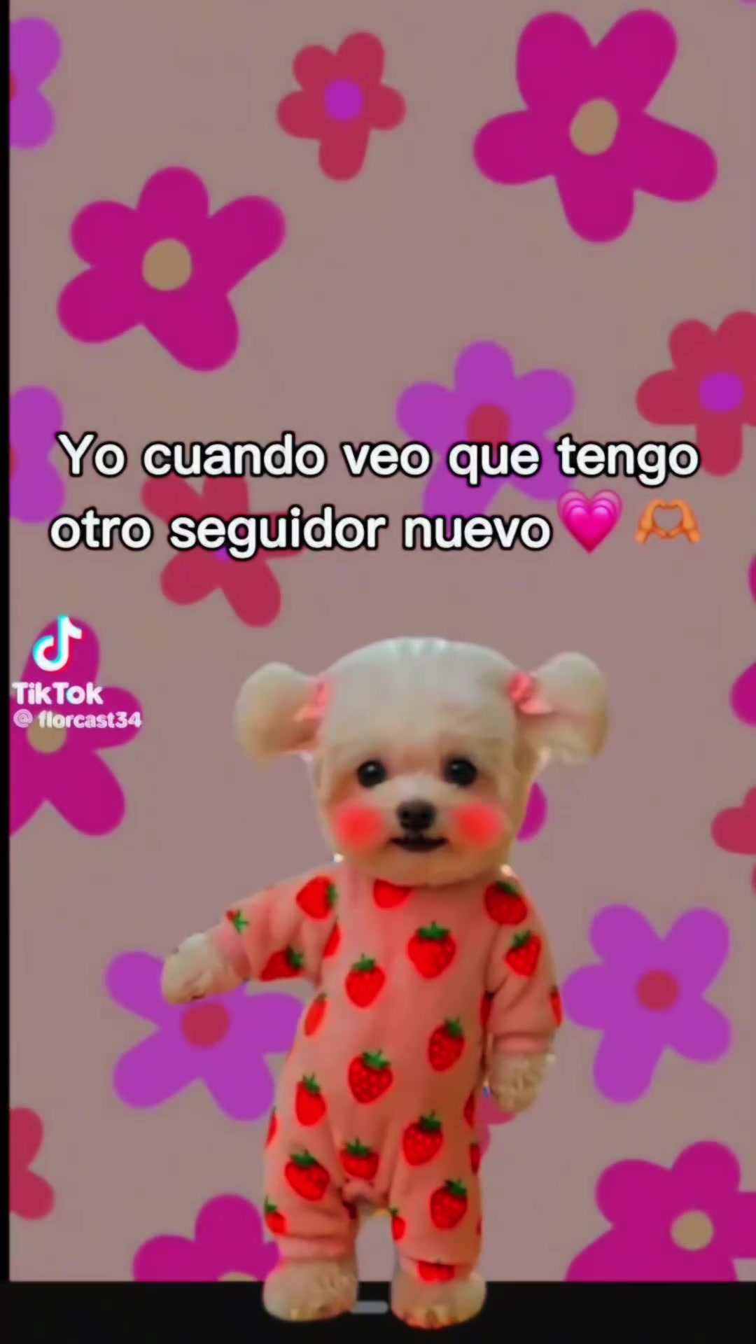 @isa
