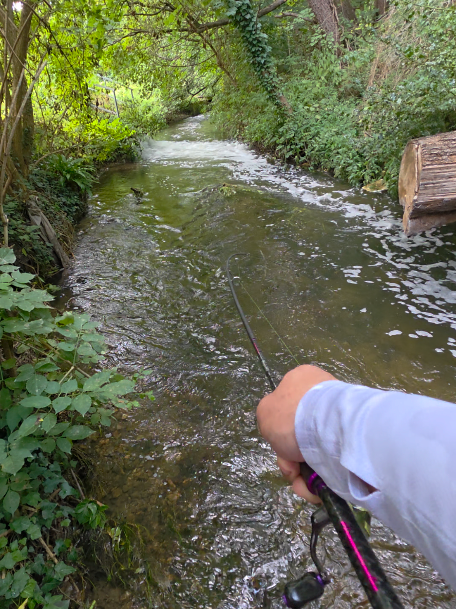@BF Angler