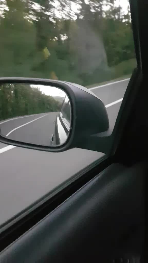@Petrovici