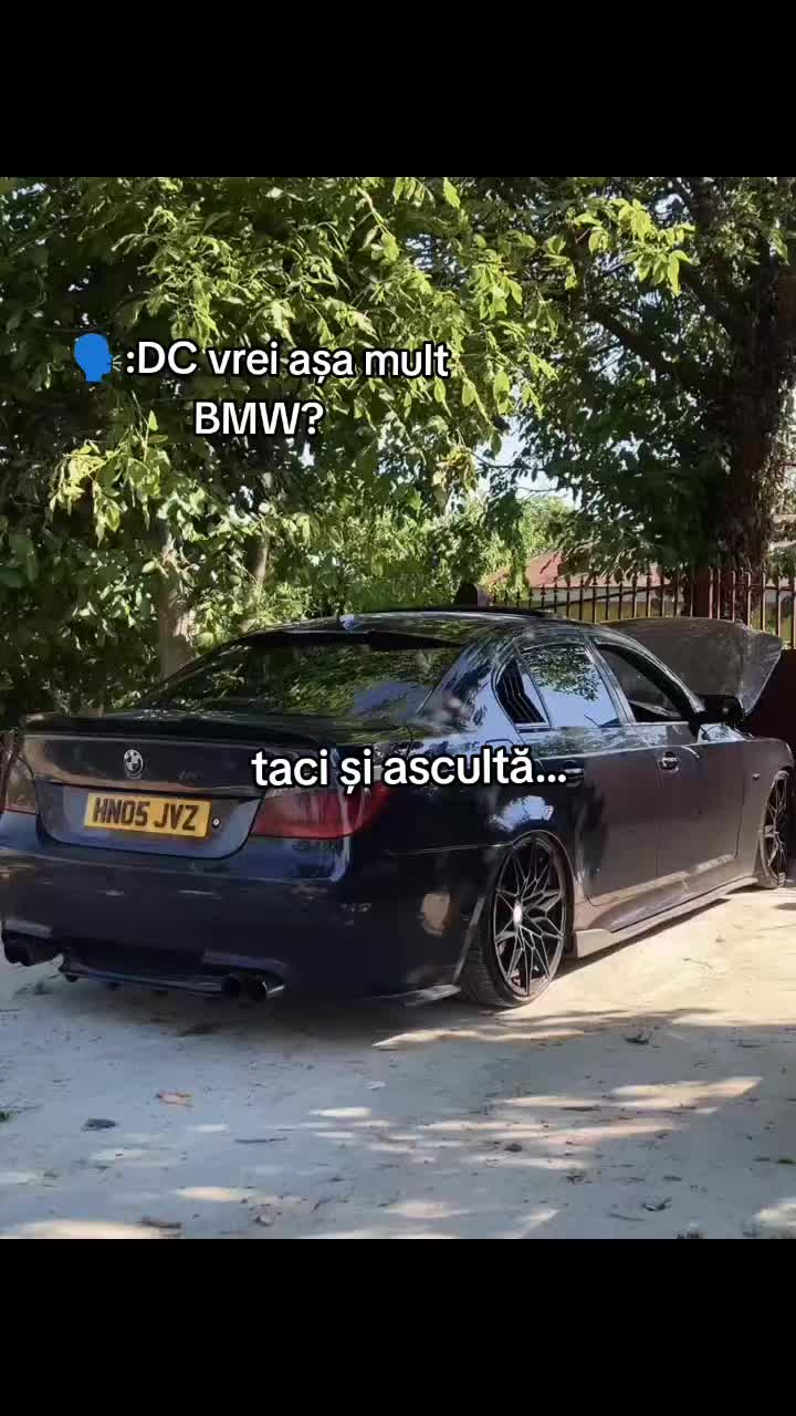 @D.N.S