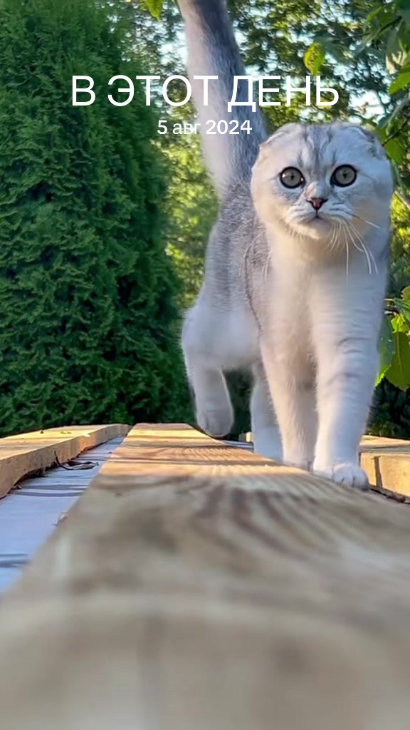 @Лилия Лебедева Соколова