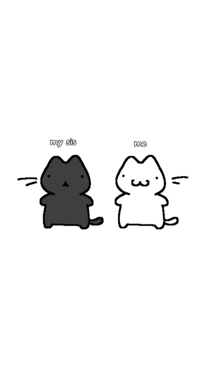 @Alina Cute cat