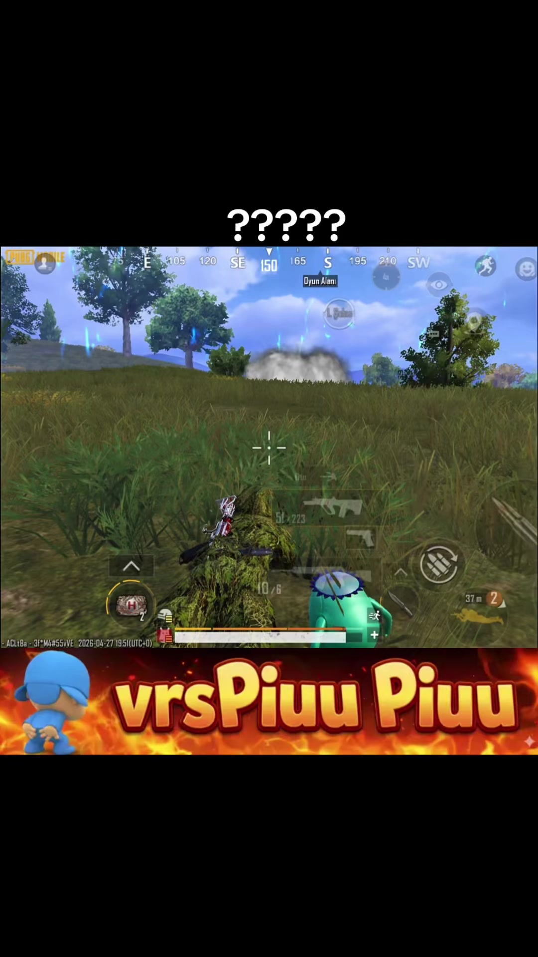 @vrsPiuu Piuu