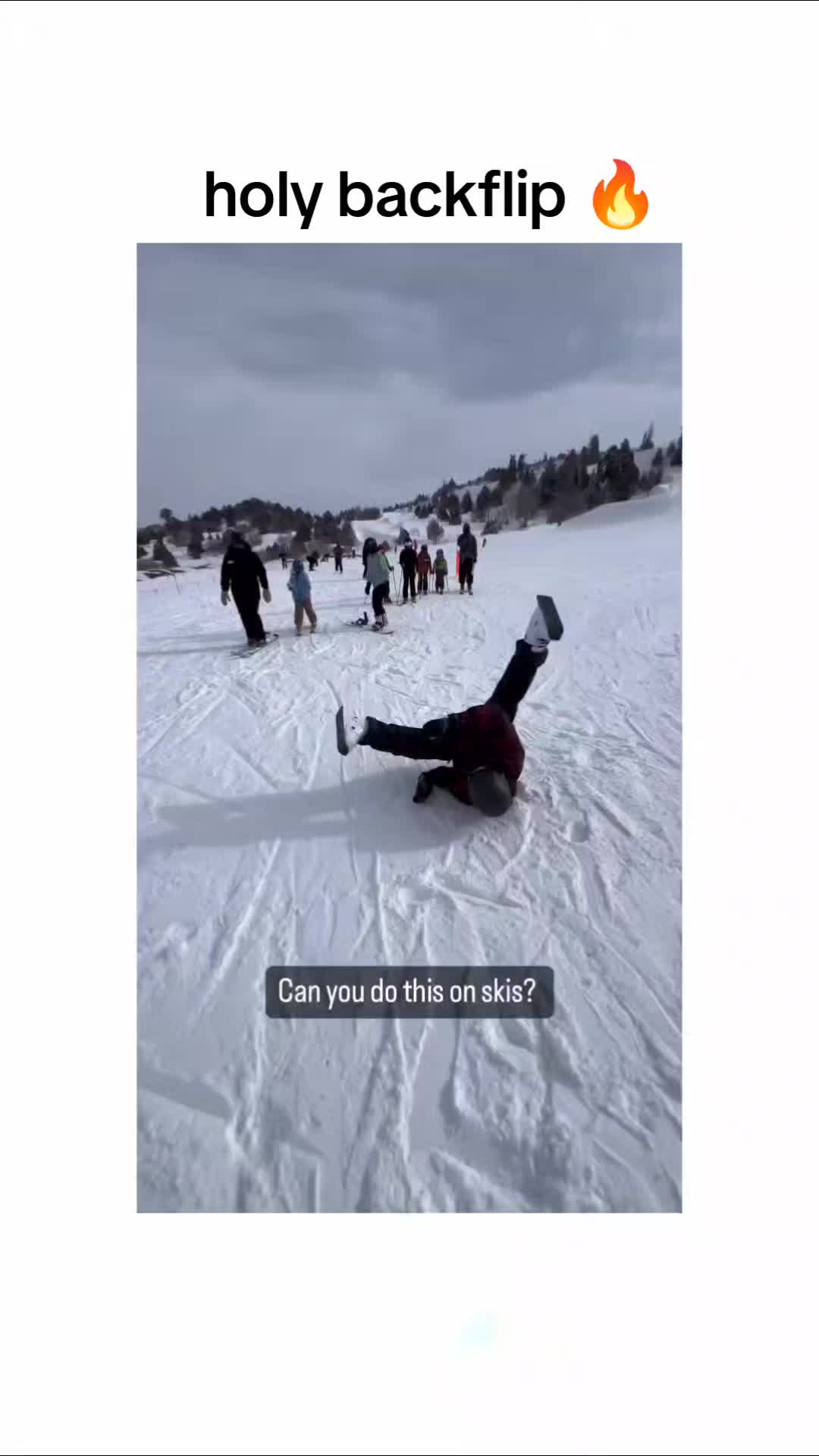 @WYC