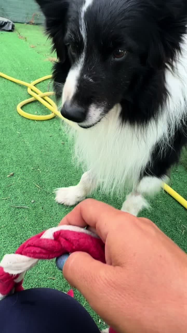 @My funny dog 🐶