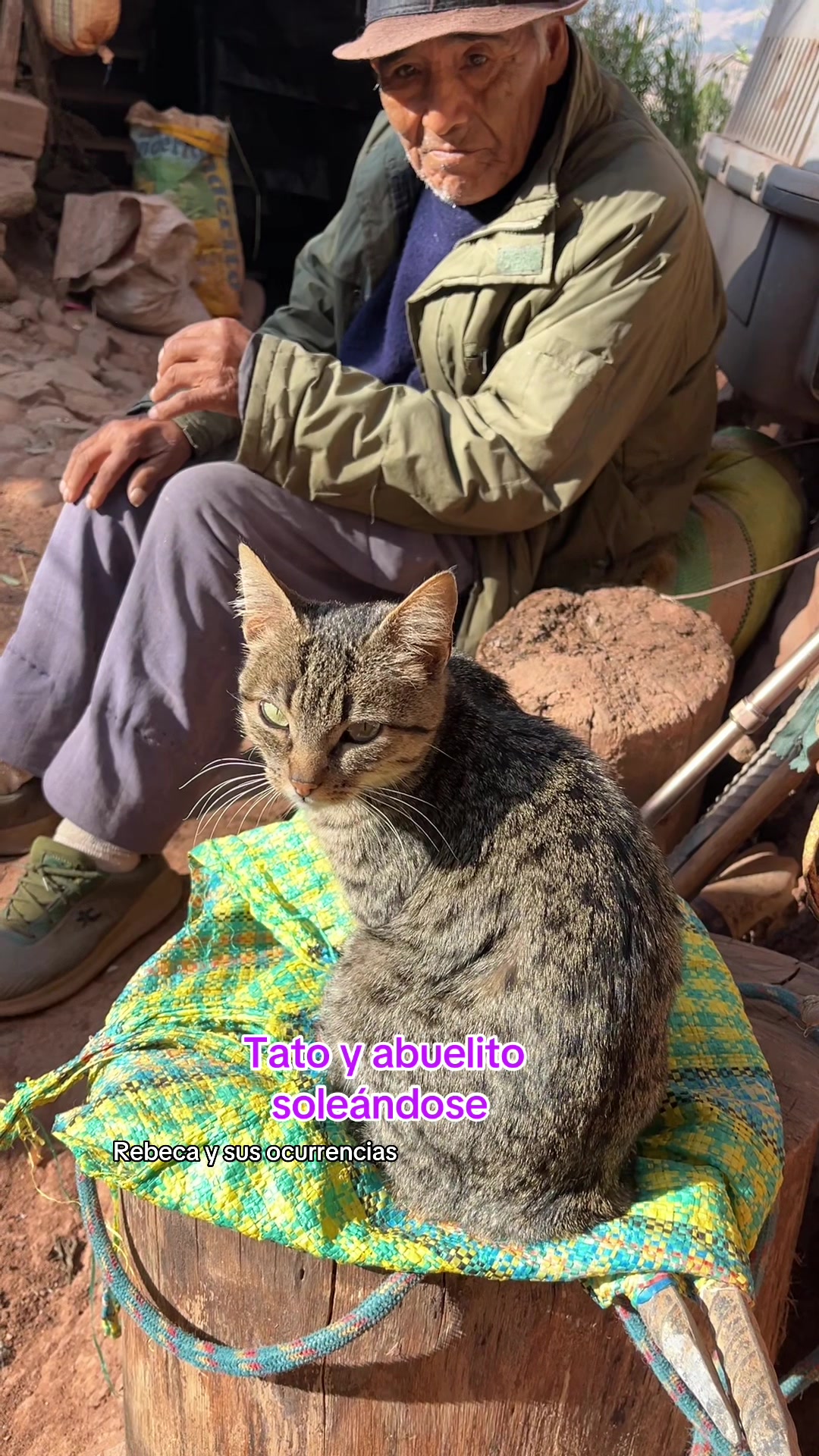 @🐈Rebeca y sus ocurrencias