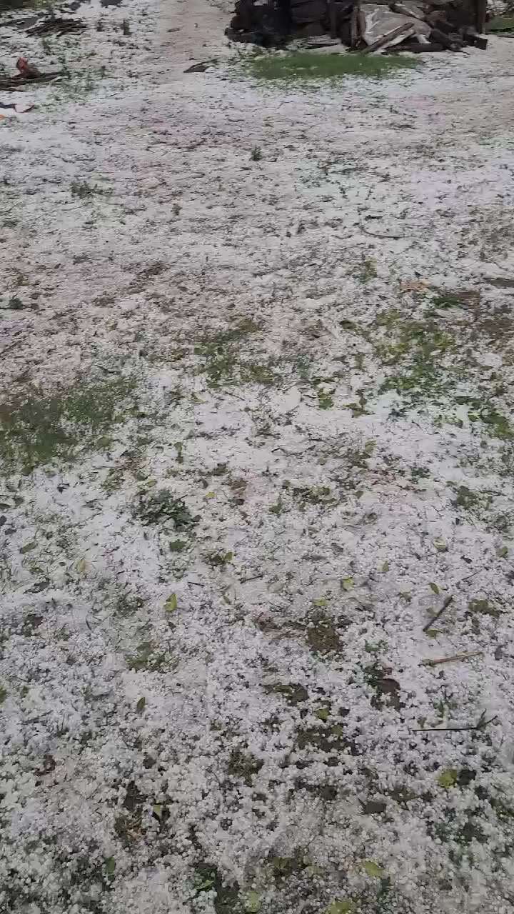 @सानि❣️