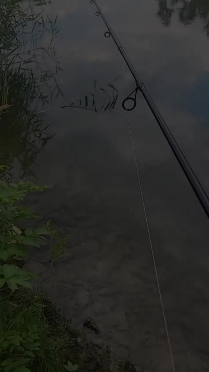 @Stefan🎣Fishing🎣die🎣Legende